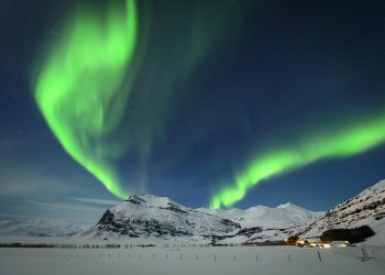 north, northern lights, cold, snow, aurora, nature, outdoors, sky