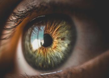 eye, close up, vision, macro, eye, eye, eye, eye, eye
