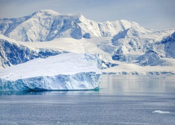 iceberg, ocean, winter, cold, snow, ice, water, seascape, nature, antarctica, ice, ice, antarctica, antarctica, antarctica, antarctica, antarctica