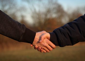 handshake, hands, friendship, friends, men, greet, contact, promise, connection, contact, contact, contact, contact, contact, connection